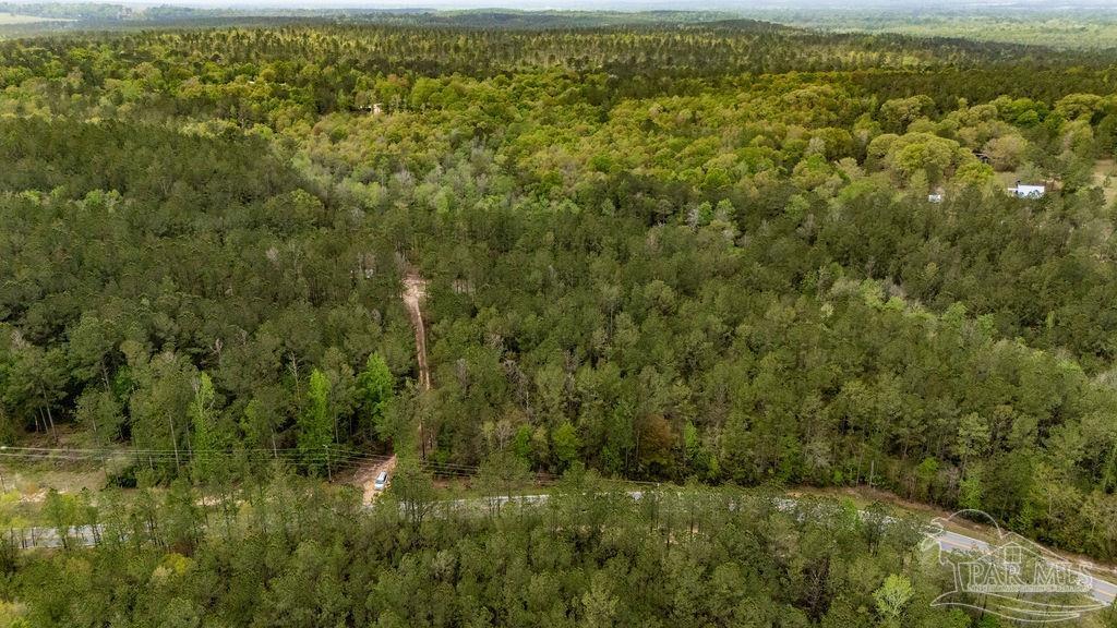 4660 Morristown Road Jay, FL 32565 - Photo 18 of 50