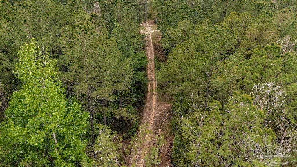 4660 Morristown Road Jay, FL 32565 - Photo 19 of 50