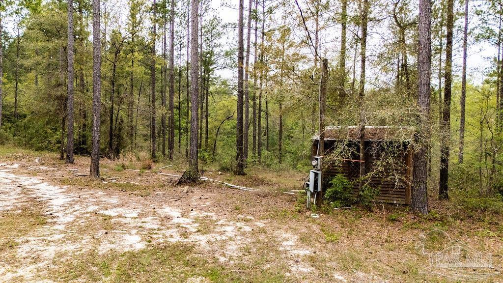 4660 Morristown Road Jay, FL 32565 - Photo 2 of 50