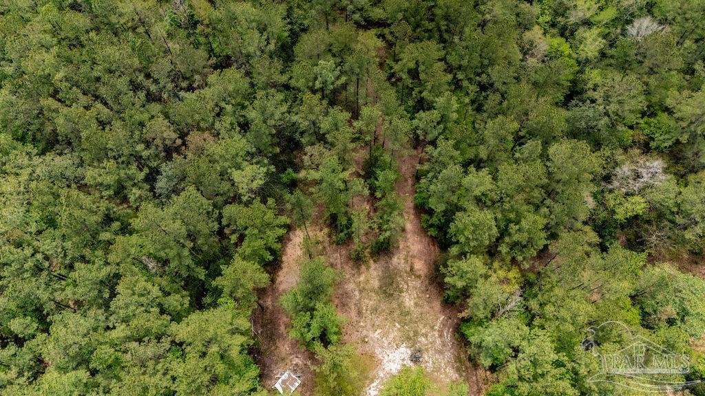 4660 Morristown Road Jay, FL 32565 - Photo 22 of 50