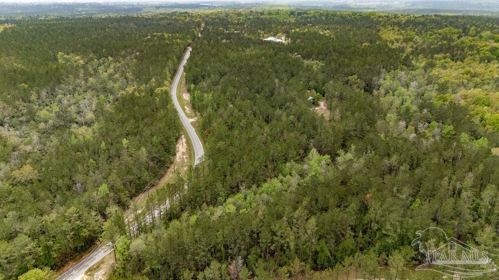 4660 Morristown Road Jay, FL 32565 - Photo 23 of 50