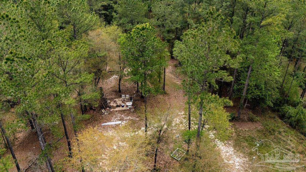 4660 Morristown Road Jay, FL 32565 - Photo 24 of 50