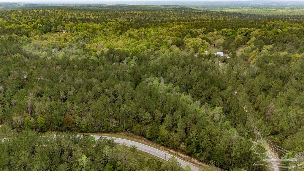 4660 Morristown Road Jay, FL 32565 - Photo 27 of 50