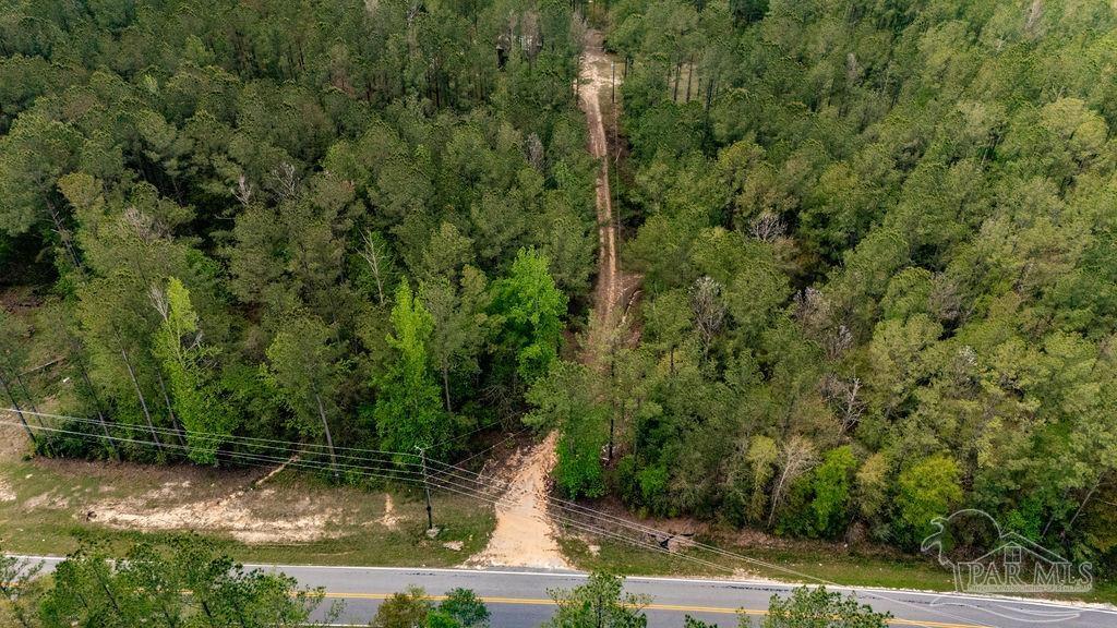 4660 Morristown Road Jay, FL 32565 - Photo 28 of 50