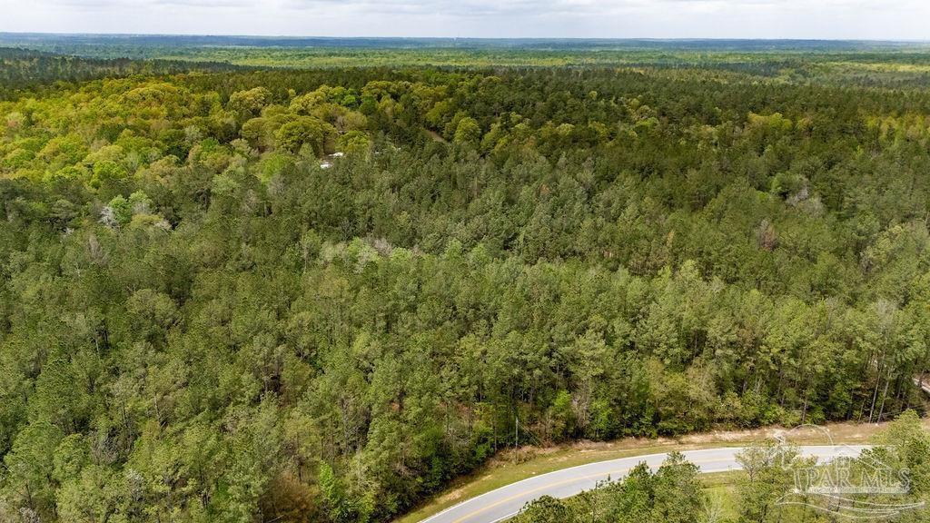 4660 Morristown Road Jay, FL 32565 - Photo 29 of 50