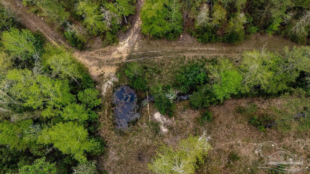 4660 Morristown Road Jay, FL 32565 - Photo 30 of 50