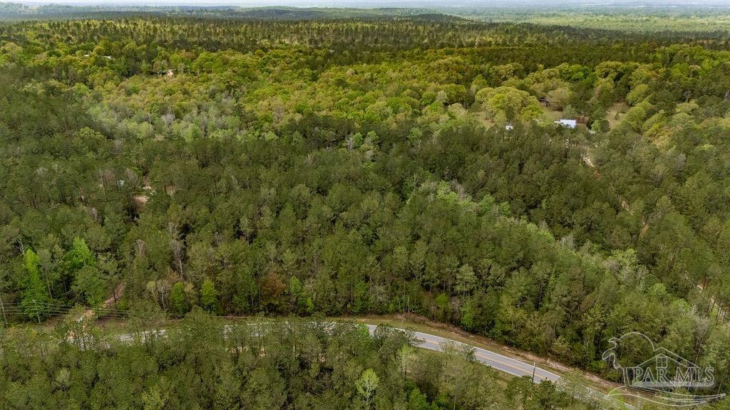 4660 Morristown Road Jay, FL 32565 - Photo 3 of 50