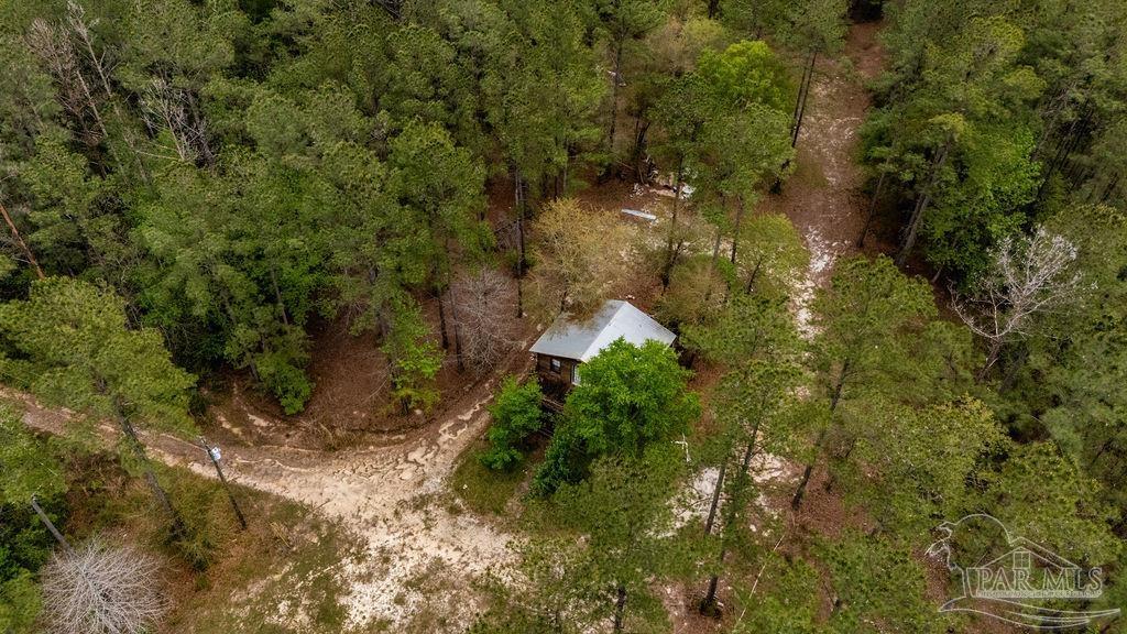 4660 Morristown Road Jay, FL 32565 - Photo 33 of 50