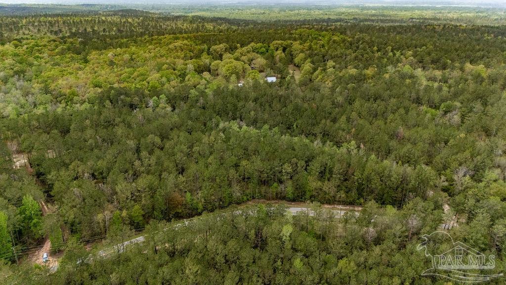 4660 Morristown Road Jay, FL 32565 - Photo 36 of 50