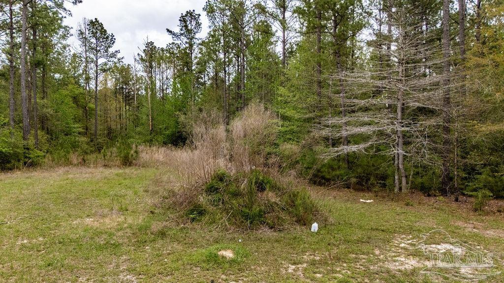 4660 Morristown Road Jay, FL 32565 - Photo 37 of 50