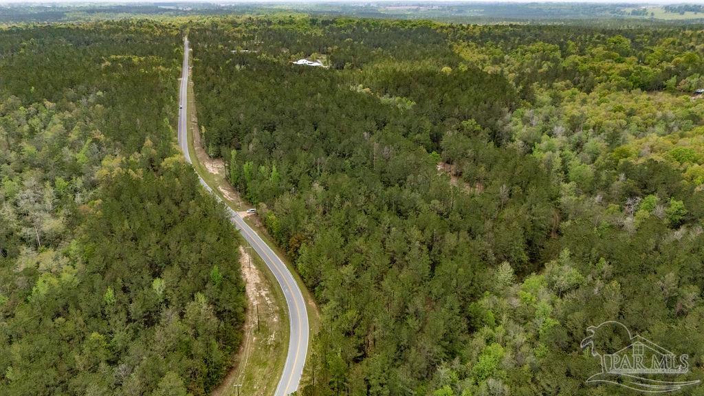 4660 Morristown Road Jay, FL 32565 - Photo 38 of 50