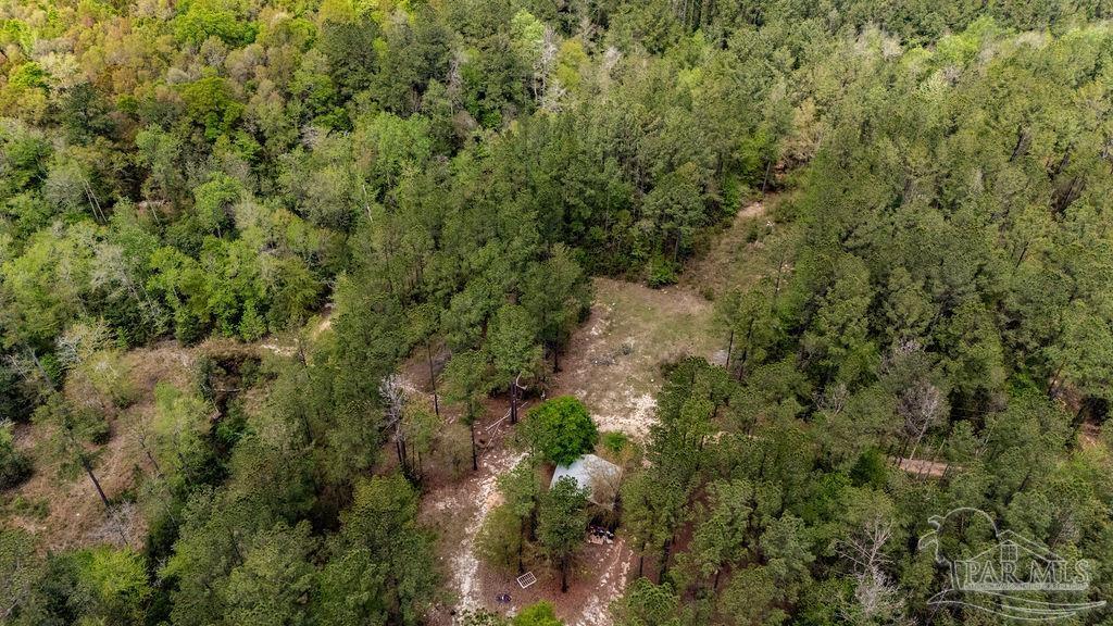 4660 Morristown Road Jay, FL 32565 - Photo 40 of 50