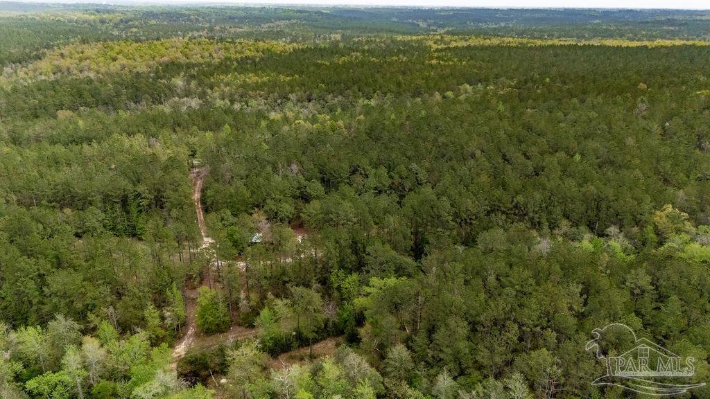 4660 Morristown Road Jay, FL 32565 - Photo 41 of 50