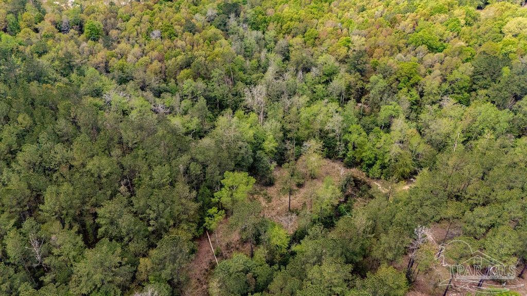 4660 Morristown Road Jay, FL 32565 - Photo 43 of 50