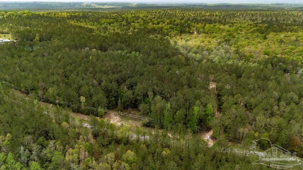 4660 Morristown Road Jay, FL 32565 - Photo 44 of 50