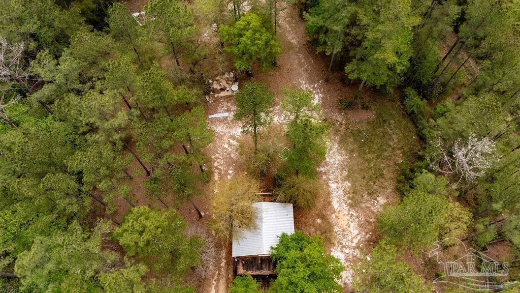 4660 Morristown Road Jay, FL 32565 - Photo 45 of 50