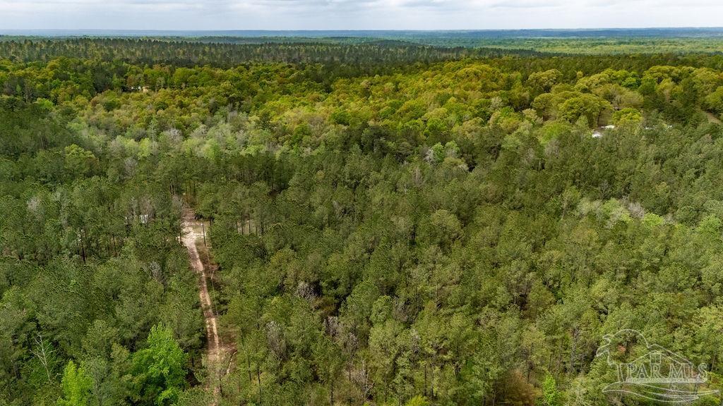 4660 Morristown Road Jay, FL 32565 - Photo 46 of 50