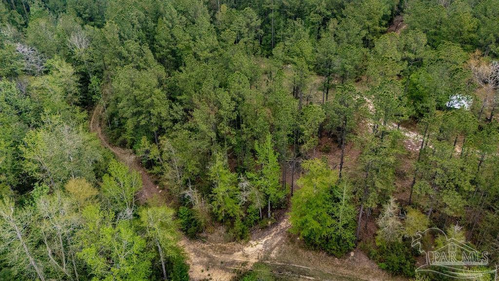 4660 Morristown Road Jay, FL 32565 - Photo 48 of 50