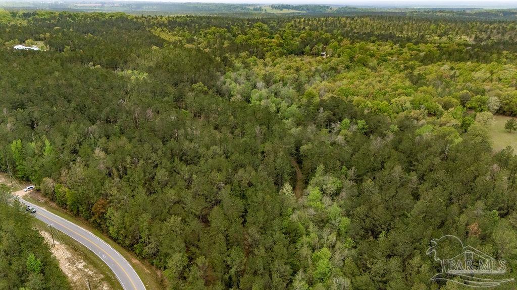 4660 Morristown Road Jay, FL 32565 - Photo 5 of 50