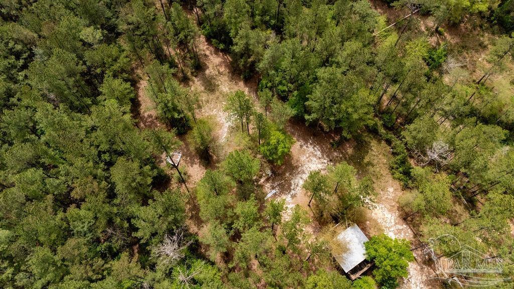 4660 Morristown Road Jay, FL 32565 - Photo 7 of 50