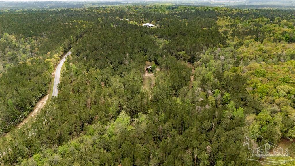 4660 Morristown Road Jay, FL 32565 - Photo 8 of 50