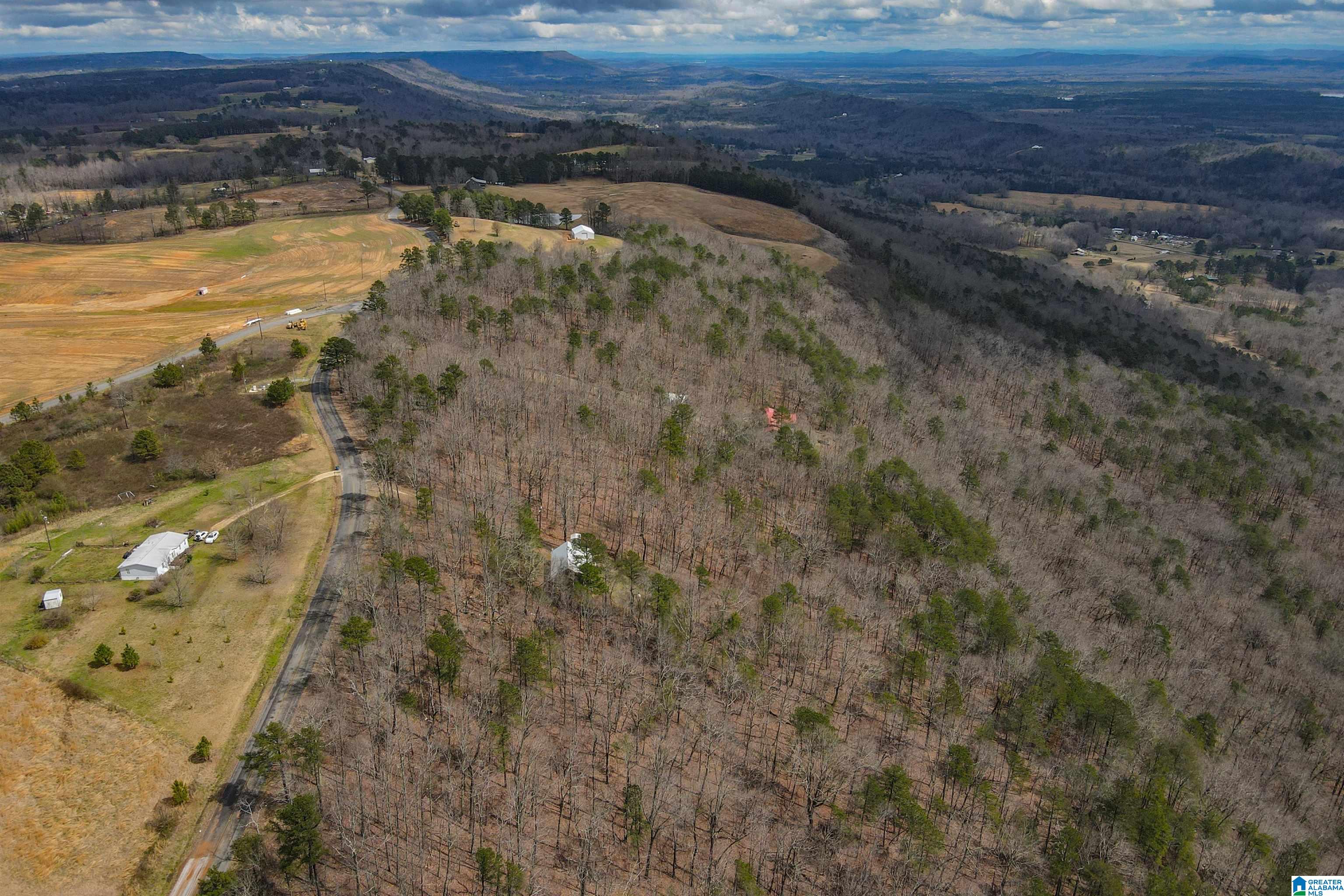 4076 Co Highway 24 Springville, AL 35146 - Photo 44 of 50