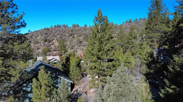 a view of a forest with a mountain in the background