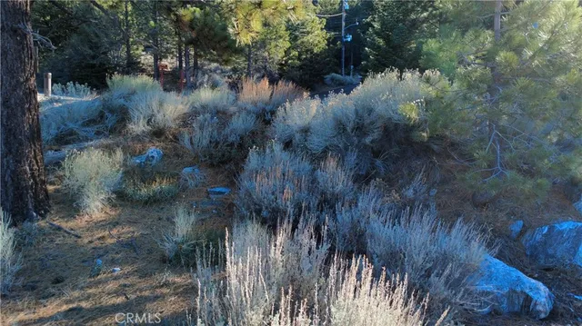 a view of a lake in between forest