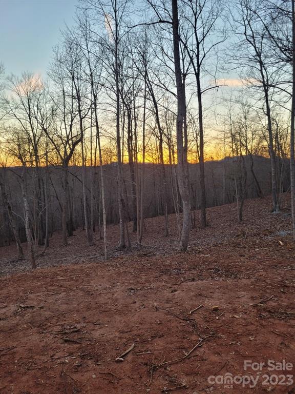 643 Cross Ridge Drive, Unit 120 Rutherfordton, NC 28139 - Photo 4 of 4 a backyard of a house with lots of green space