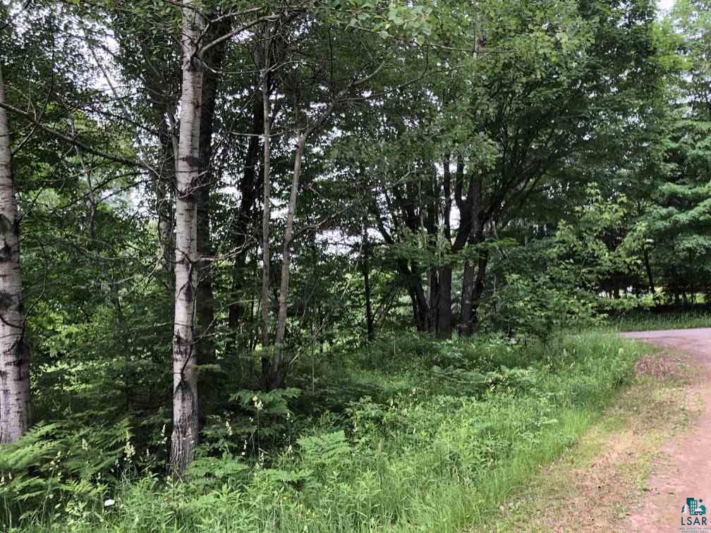 75198 Eichmann Road Glidden, WI 54527 - Photo 38 of 44 Wooded section to East
