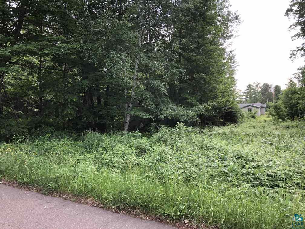 75198 Eichmann Road Glidden, WI 54527 - Photo 40 of 44 All trees visible on left of photo included with the home. .6 acres.