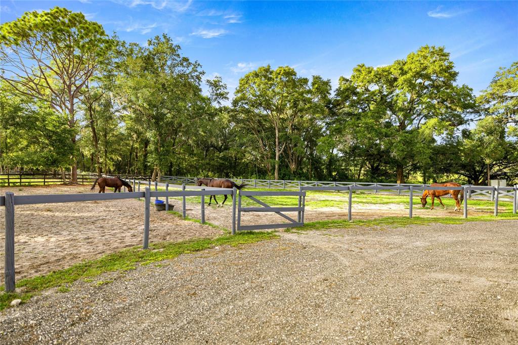 8106 Southwest 19th Place Ocala, FL 34481 - Photo 41 of 51