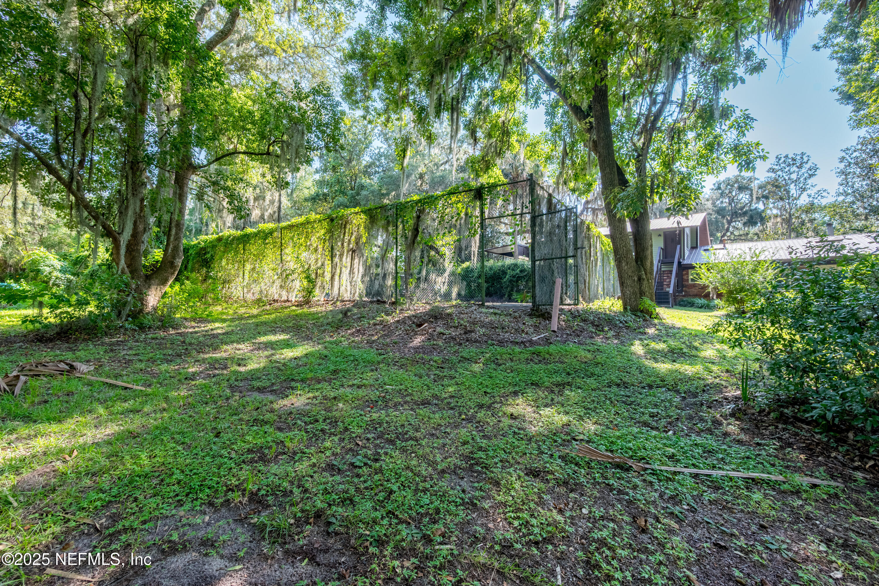 8166 Alderman Road Melrose, FL 32666 - Photo 17 of 94 a view of backyard with green space