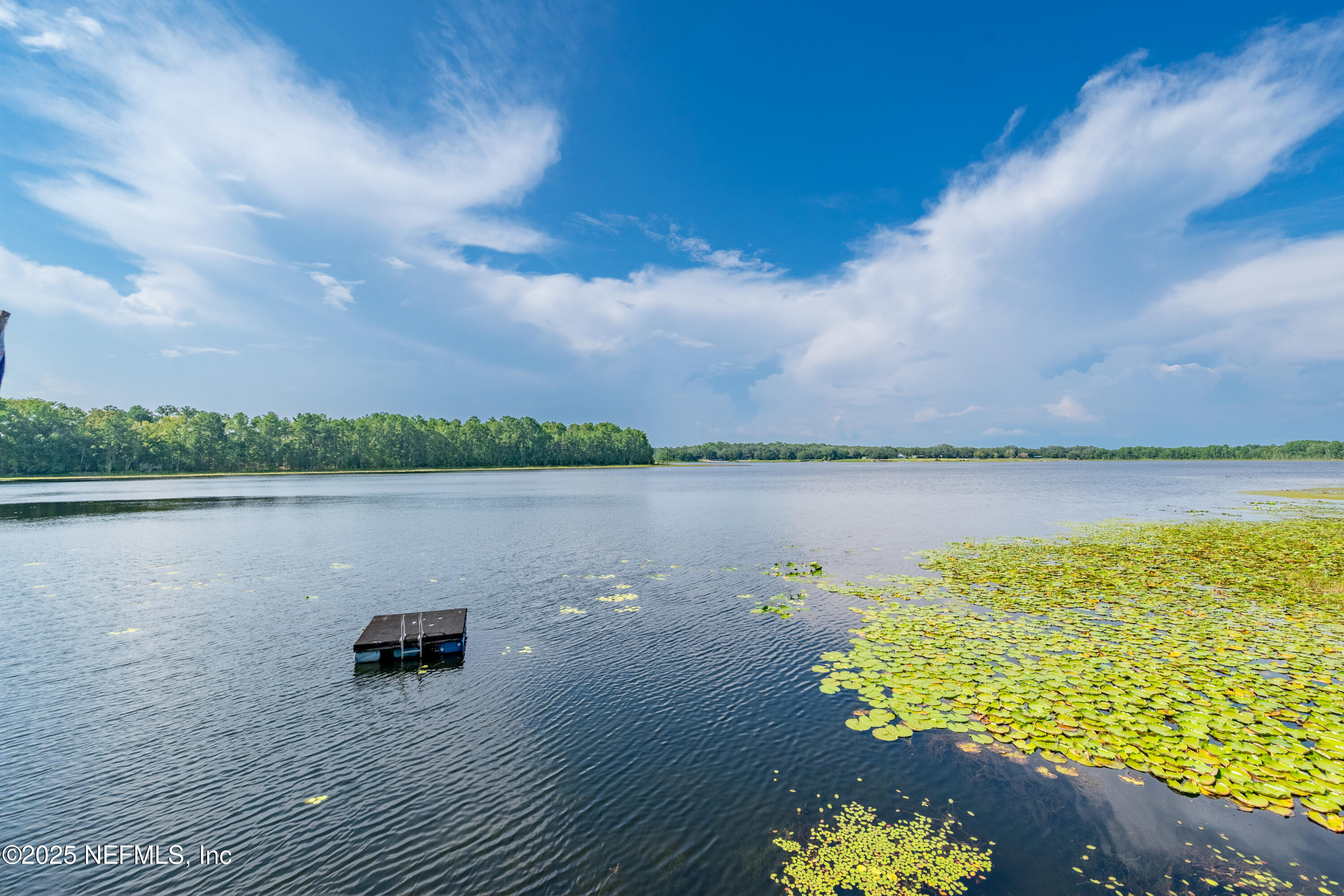 8166 Alderman Road Melrose, FL 32666 - Photo 25 of 94 a view of a lake with a big yard