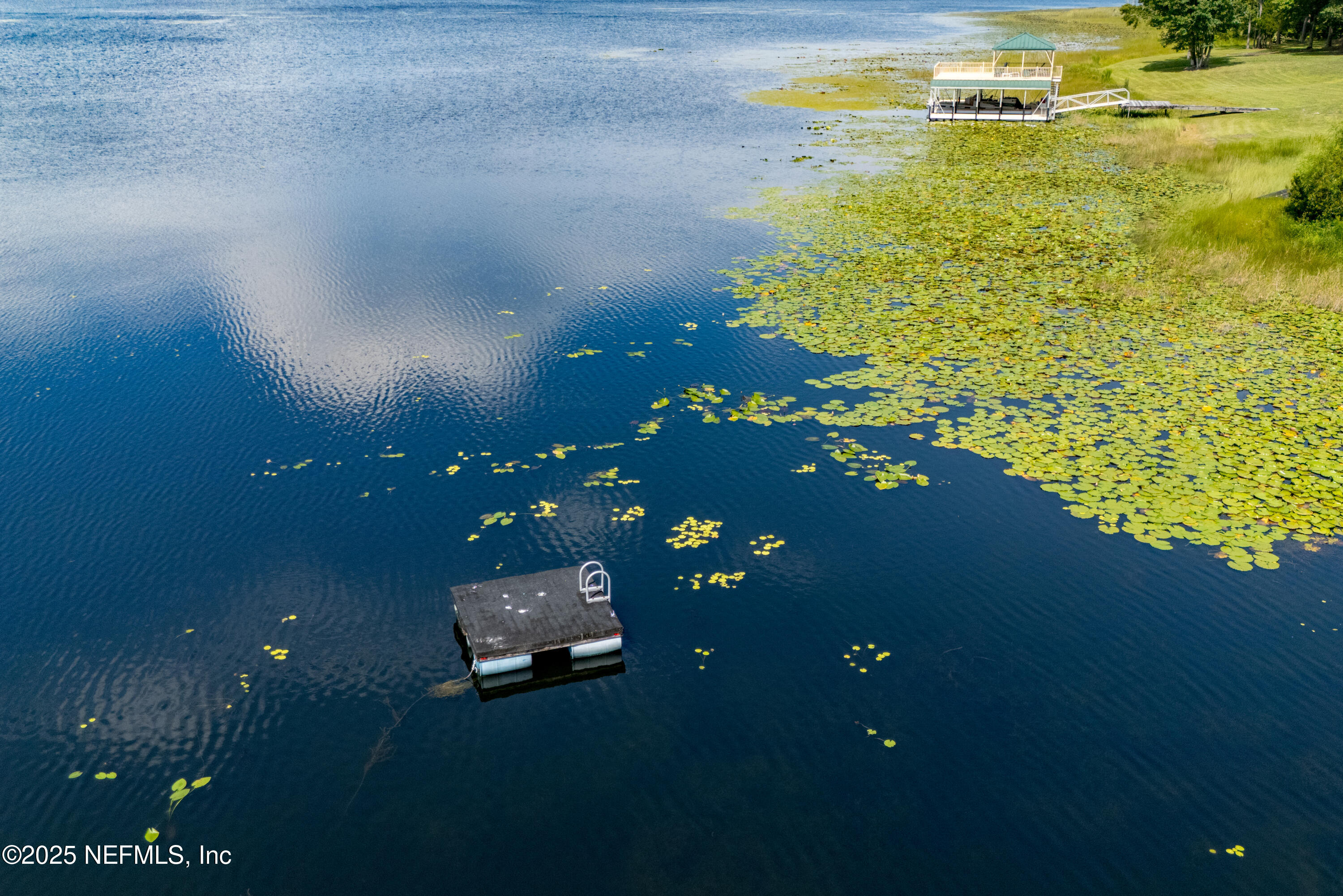 8166 Alderman Road Melrose, FL 32666 - Photo 52 of 94 8166 Alderman Rd-55