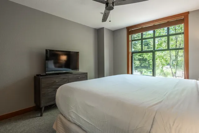 a view of a yard with plants and tree