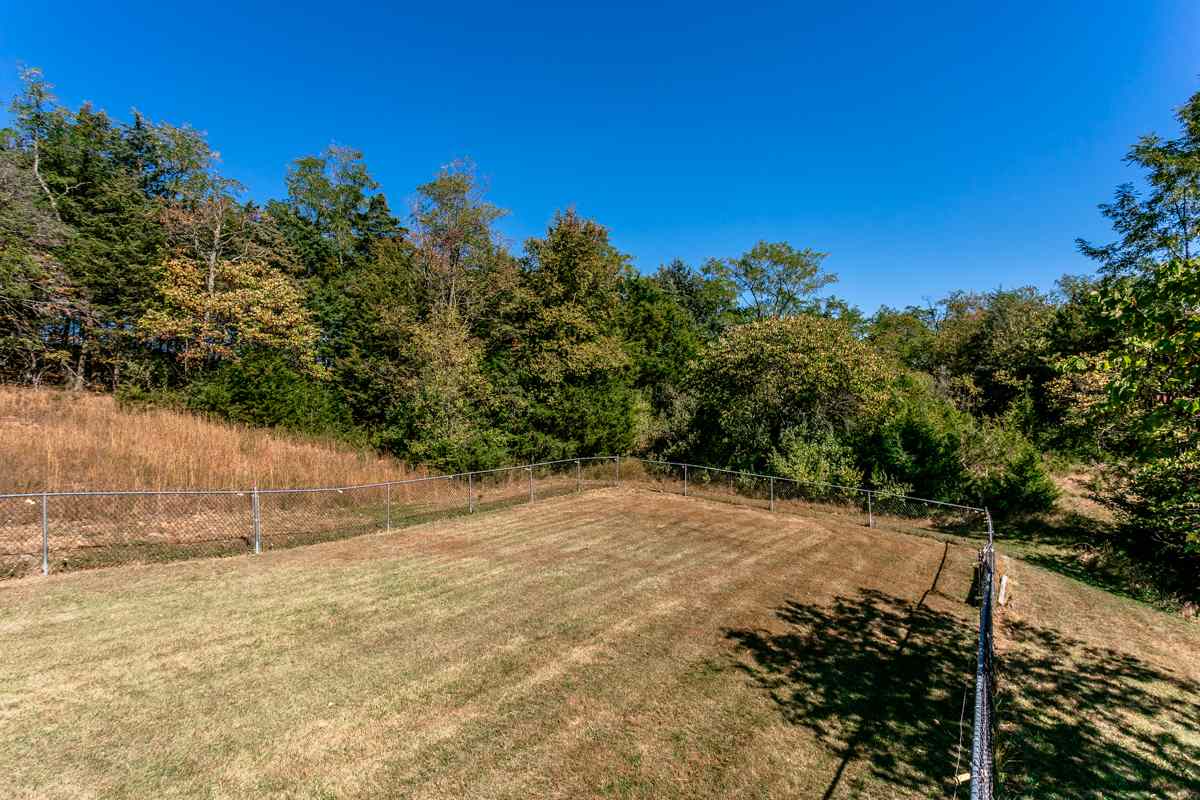 917 Roman Road Mount Sidney, VA 24467 - Photo 35 of 45 a view of a yard with a tree