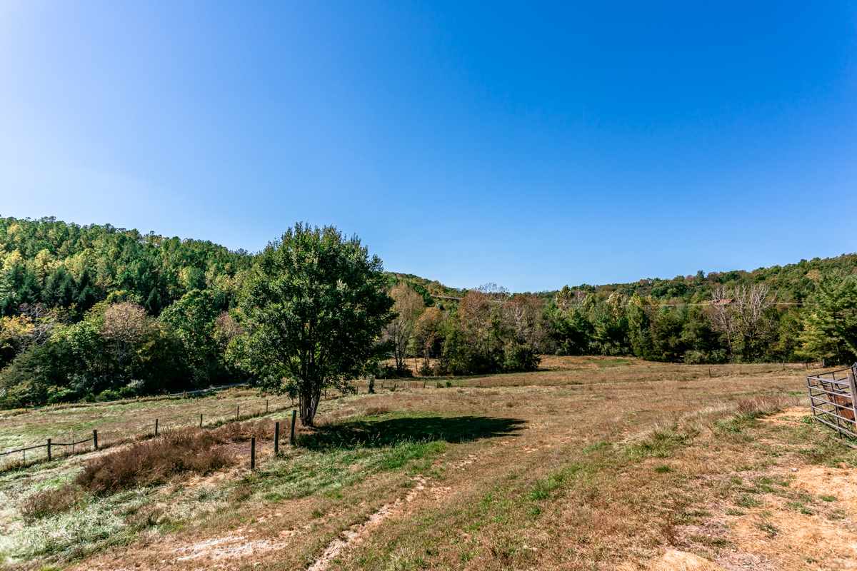 917 Roman Road Mount Sidney, VA 24467 - Photo 36 of 45 a view of a yard with a tree