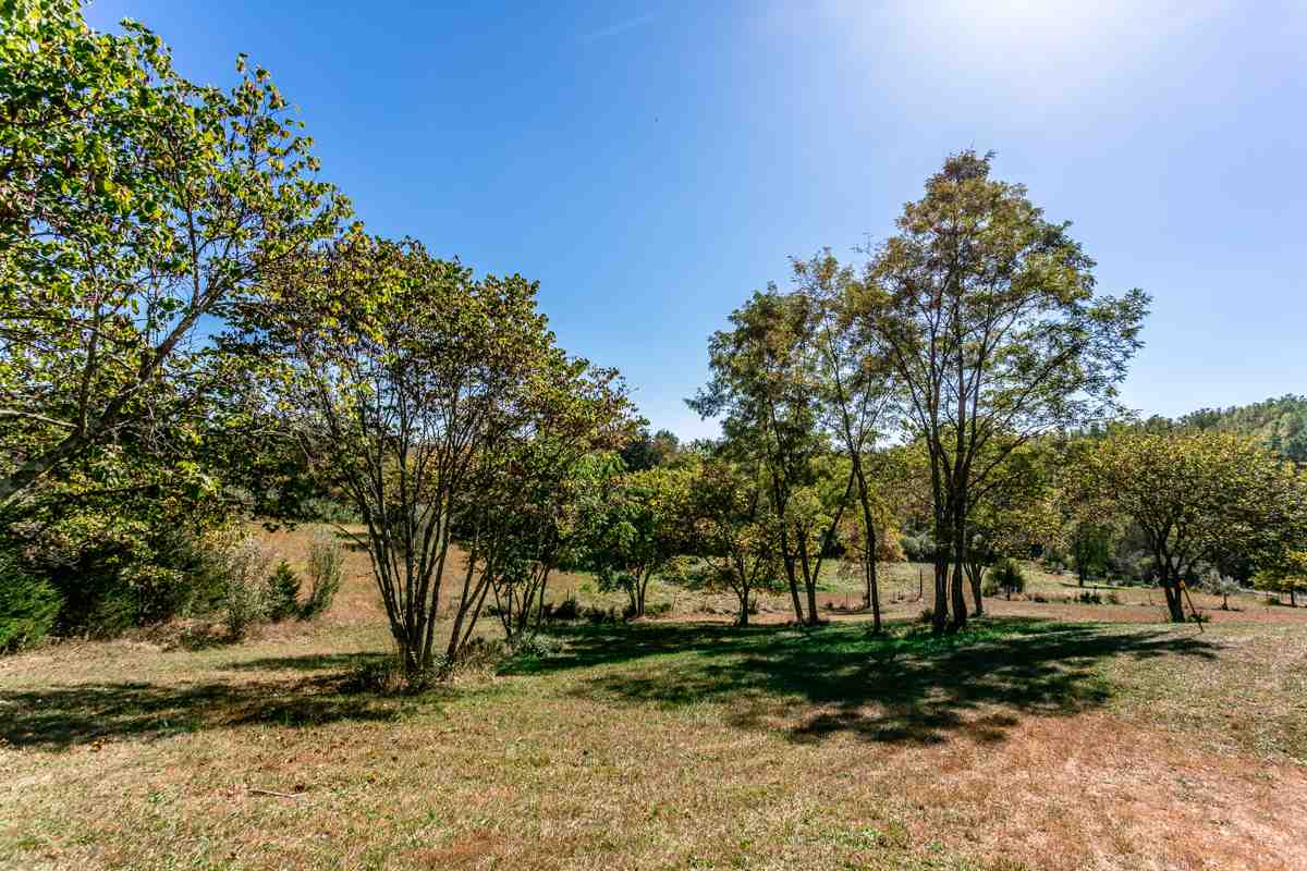 917 Roman Road Mount Sidney, VA 24467 - Photo 38 of 45 a backyard of a house with lots of green space