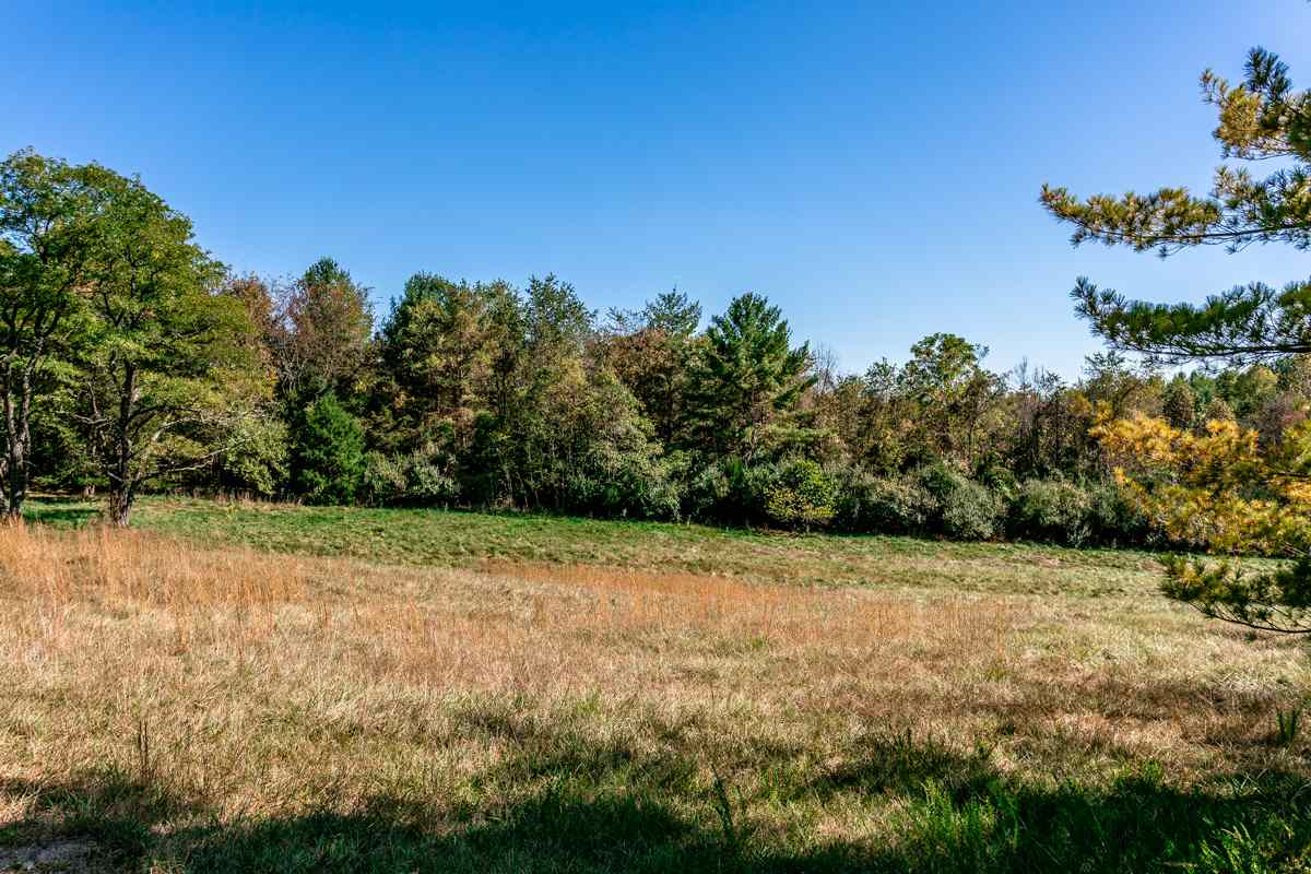 917 Roman Road Mount Sidney, VA 24467 - Photo 43 of 45 a view of a yard with a tree