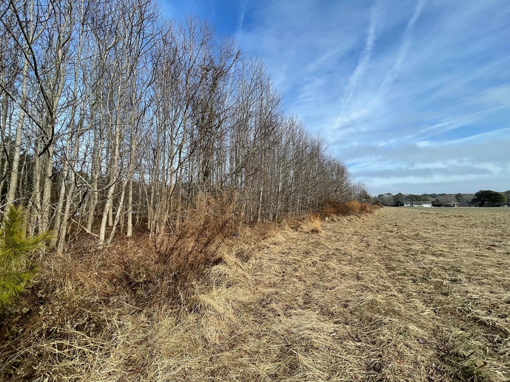 3.65 Old Neck Road, Unit 1 Weems, VA 22576 - Photo 17 of 35