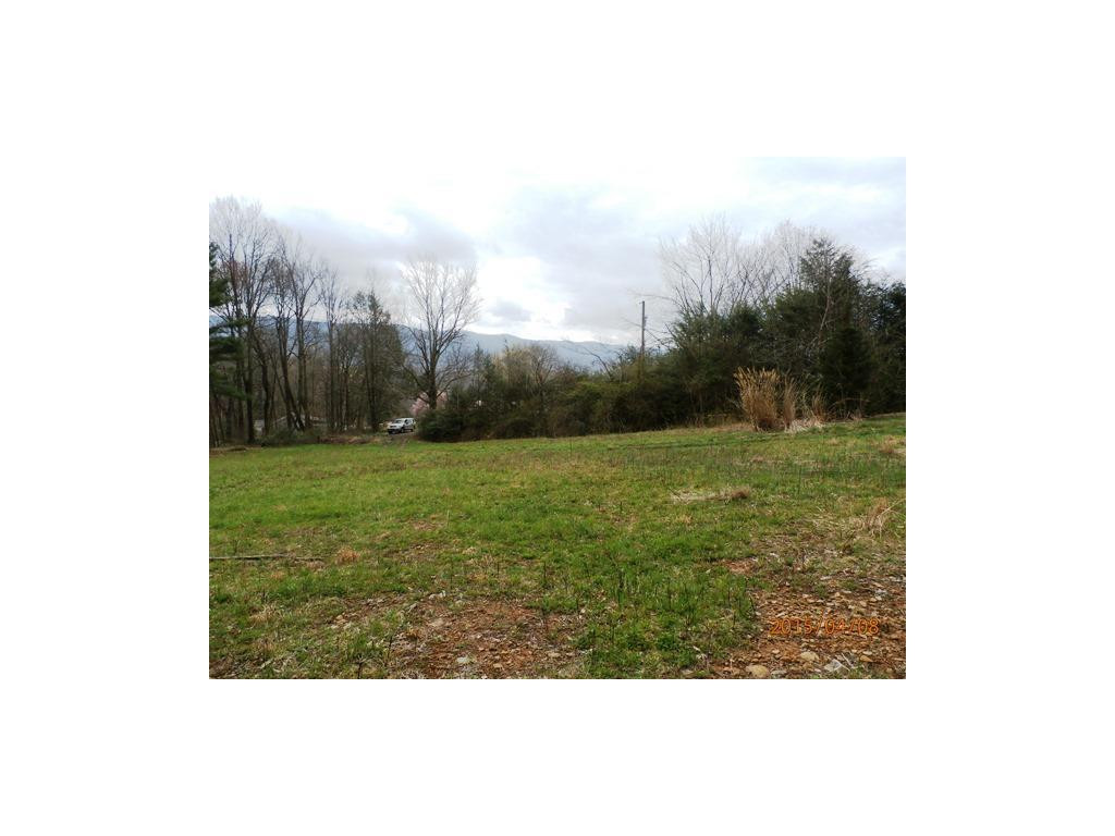 0 Davis Hollow Road Elizabethton, TN 37643 - Photo 1 of 8 Pasture View