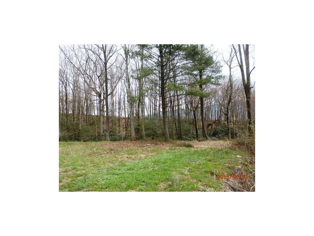 0 Davis Hollow Road Elizabethton, TN 37643 - Photo 3 of 8 Photo 3