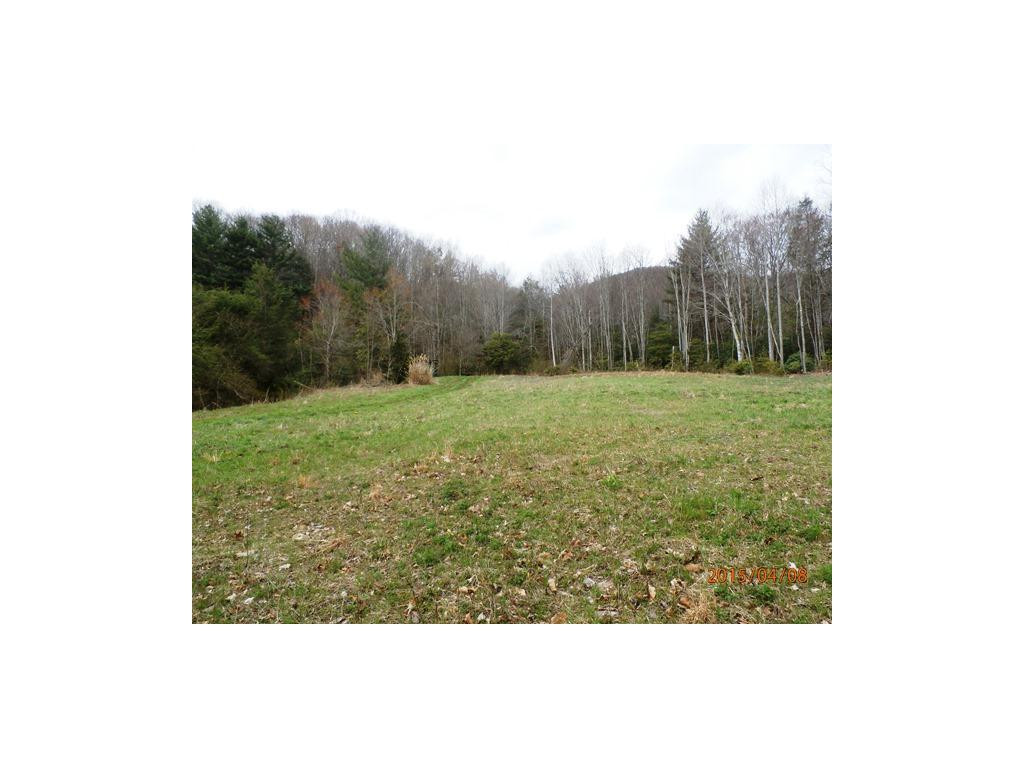0 Davis Hollow Road Elizabethton, TN 37643 - Photo 4 of 8 Photo 4