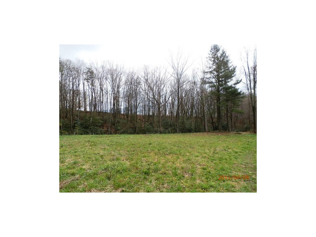 0 Davis Hollow Road Elizabethton, TN 37643 - Photo 5 of 8 Photo 5