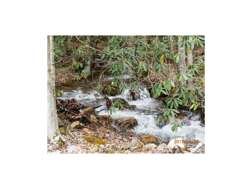 0 Davis Hollow Road Elizabethton, TN 37643 - Photo 6 of 8 Creek
