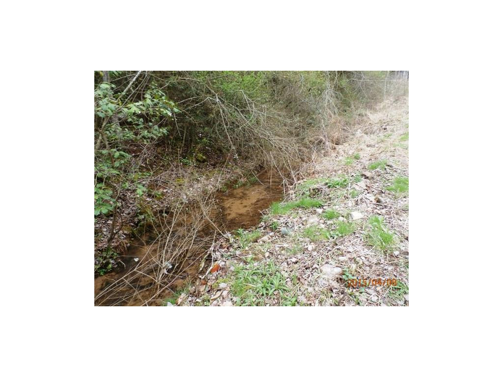 0 Davis Hollow Road Elizabethton, TN 37643 - Photo 8 of 8 Small Branch