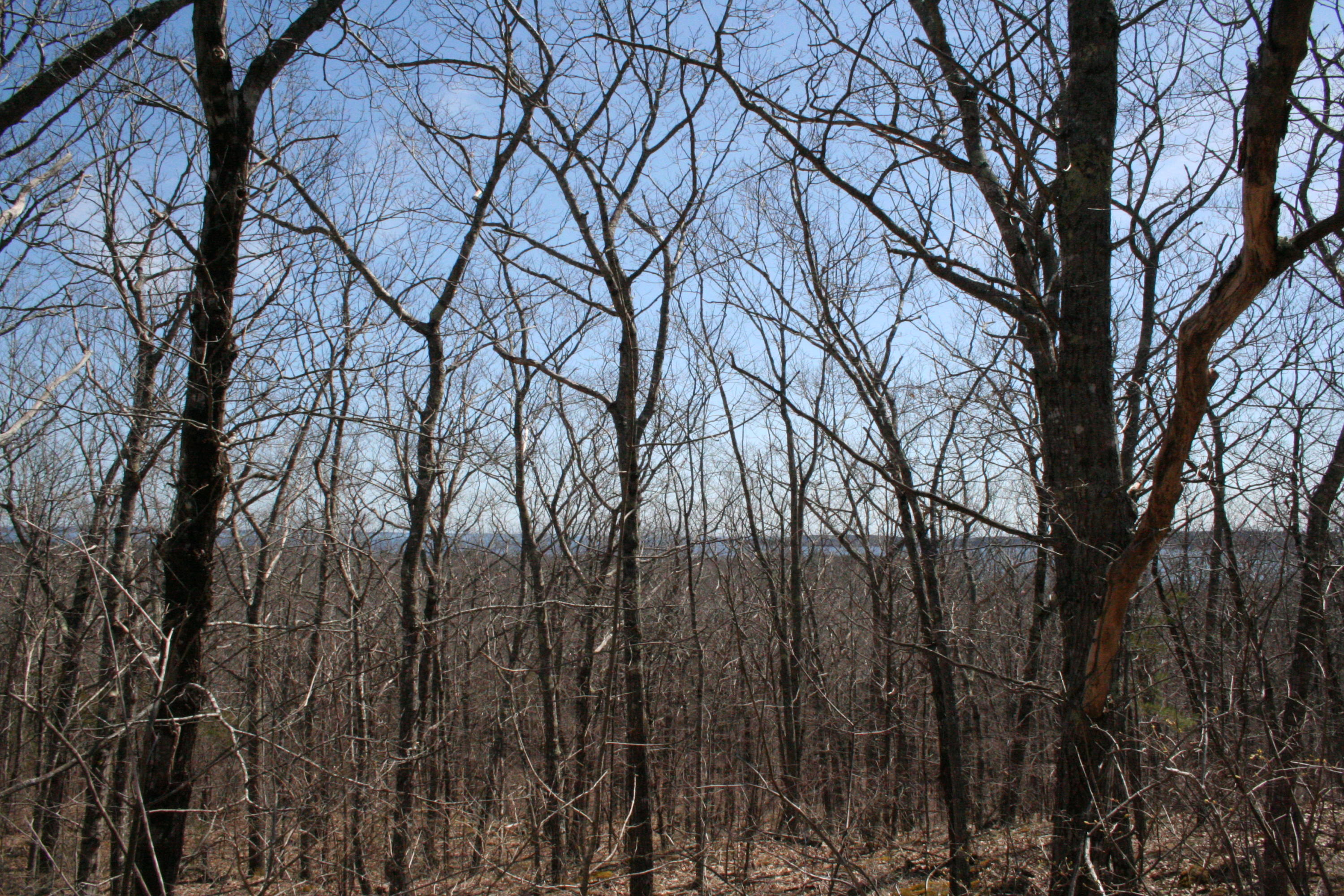 753 Old County Road Rockland, ME 04841 - Photo 3 of 4 IMG_5882