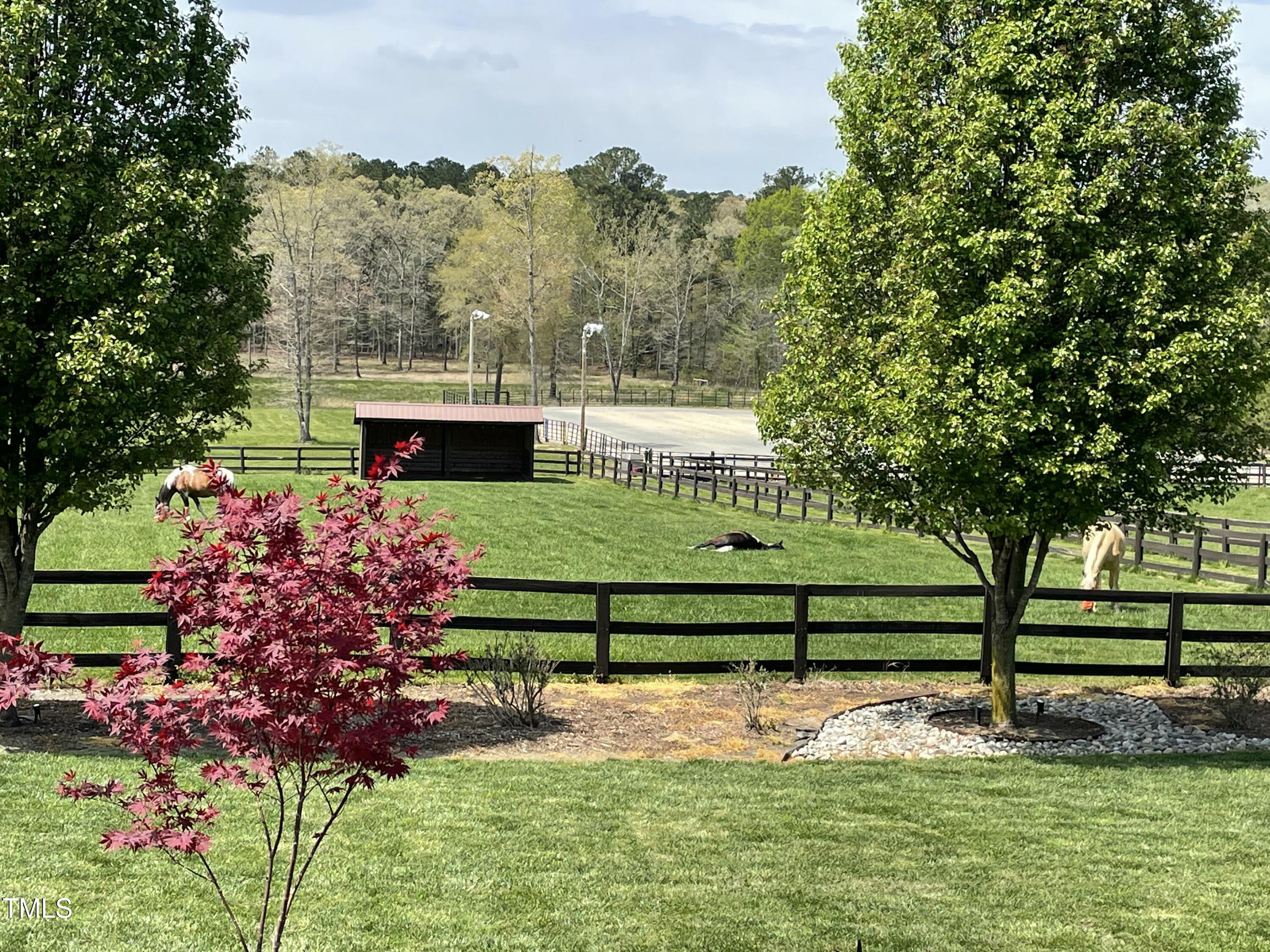 3417 Pea Ridge Road New Hill, NC 27562 - Photo 55 of 69 IMG_1592