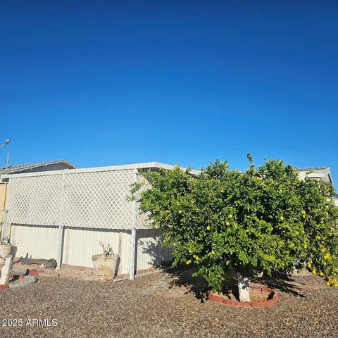 a view of a dry yard with wooden fence